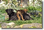 Bruno s m�mou