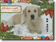 Vesel� V�noce