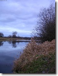 Vltavsk� b�ehy