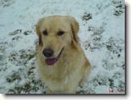 Max�k na sn�hu1