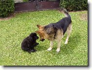 Ken�k a Monty
