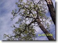 Hledej m�?