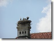 ��PI