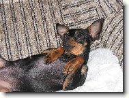 odpo�inek
