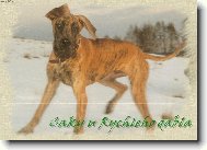 Caky u Rychl�ho ��bla