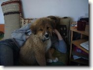 B�ra