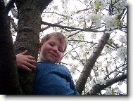 na strom�