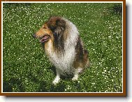 max�k