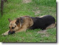 odpo�inek