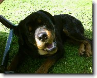Argo se div�