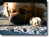 Na�e Bett