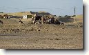 Turkmenist�n
