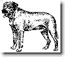 D�nsk� doga