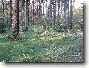 �esk� republika - �esko (cestopis)