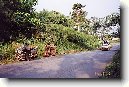 Rovn�kov� Guinea