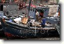 Severn� Korea