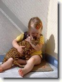 Beng�lsk� ko�ka, leopard� ko�ka
