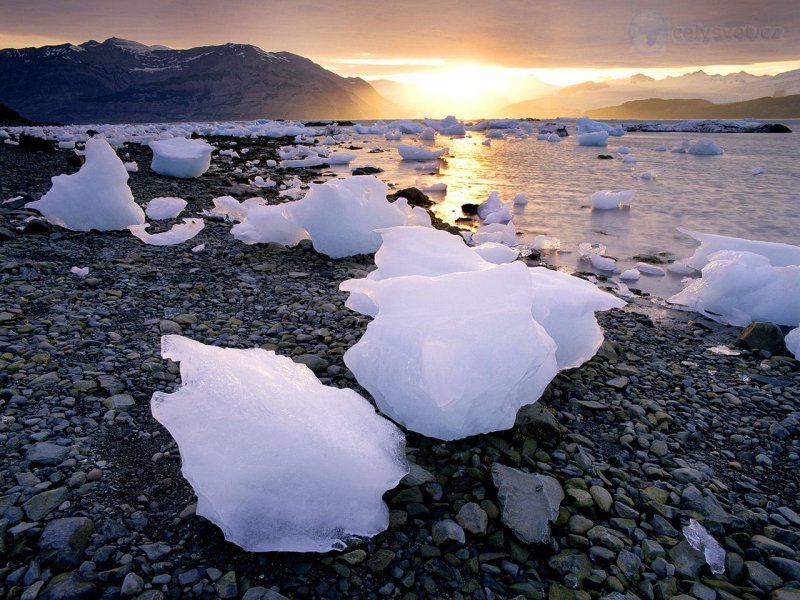 Foto: Glacial Icebergs, Icy Bay, Alaska