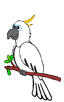 V�ce smajl�k� ke sta�en�