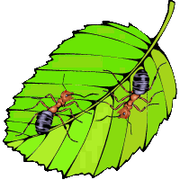 V�ce smajl�k� ke sta�en�