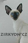 Chovatelska stanice ps�: ZIRKYON*CZ