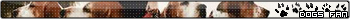 V�ce userbar� ke sta�en�